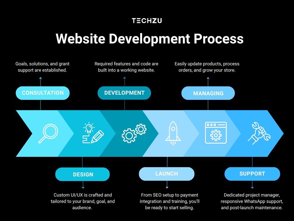 techzu's website development process